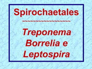 Spirochaetales
~~~~~~~~~~~~~~~~~~
Treponema
Borrelia e
Leptospira
 