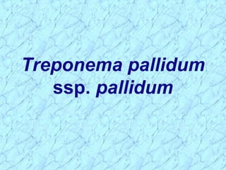 Treponema pallidum
ssp. pallidum
 