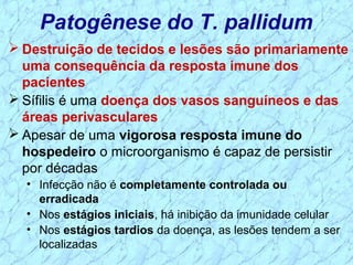Patogênese do T. pallidum
 Destruição de tecidos e lesões são primariamente
uma consequência da resposta imune dos
pacientes
 Sífilis é uma doença dos vasos sanguíneos e das
áreas perivasculares
 Apesar de uma vigorosa resposta imune do
hospedeiro o microorganismo é capaz de persistir
por décadas
• Infecção não é completamente controlada ou
erradicada
• Nos estágios iniciais, há inibição da imunidade celular
• Nos estágios tardios da doença, as lesões tendem a ser
localizadas
 