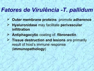 Fatores de Virulência -T. pallidum
 Outer membrane proteins promote adherence
 Hyaluronidase may facilitate perivascular
infiltration
 Antiphagocytic coating of fibronectin
 Tissue destruction and lesions are primarily
result of host’s immune response
(immunopathology)
 