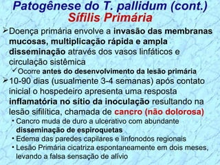 Doença primária envolve a invasão das membranas
mucosas, multiplicação rápida e ampla
disseminação através dos vasos linfáticos e
circulação sistêmica
Ocorre antes do desenvolvimento da lesão primária
10-90 dias (usualmente 3-4 semanas) após contato
inicial o hospedeiro apresenta uma resposta
inflamatória no sítio da inoculação resultando na
lesão sifilítica, chamada de cancro (não dolorosa)
• Cancro muda de duro a ulcerativo com abundante
disseminação de espiroquetas
• Edema das paredes capilares e linfonodos regionais
• Lesão Primária cicatriza espontaneamente em dois meses,
levando a falsa sensação de alívio
Patogênese do T. pallidum (cont.)
Sífilis Primária
 