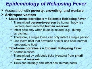  Associated with poverty, crowding, and warfare
 Arthropod vectors
• Louse-borne borreliosis = Epidemic Relapsing Fever
 Transmitted person-to-person by human body lice
(vectors) from infected human reservoir
 Infect host only when louse is injured, e.g., during
scratching
 Therefore, a single louse can only infect a single person
 Lice leave host that develops a fever and seek normal
temperature host
• Tick-borne borreliosis = Endemic Relapsing Fever
 Sporadic cases
 Transmitted by soft body ticks (vectors) from small
mammal reservoir
 Ticks can multiply and infect new human hosts
Epidemiology of Relapsing Fever
 