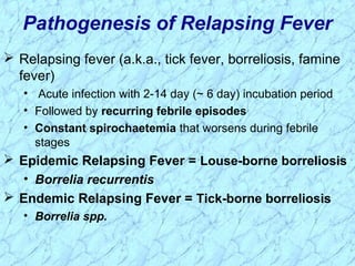 Pathogenesis of Relapsing Fever
 Relapsing fever (a.k.a., tick fever, borreliosis, famine
fever)
• Acute infection with 2-14 day (~ 6 day) incubation period
• Followed by recurring febrile episodes
• Constant spirochaetemia that worsens during febrile
stages
 Epidemic Relapsing Fever = Louse-borne borreliosis
• Borrelia recurrentis
 Endemic Relapsing Fever = Tick-borne borreliosis
• Borrelia spp.
 