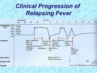 Clinical Progression of
Relapsing Fever
 