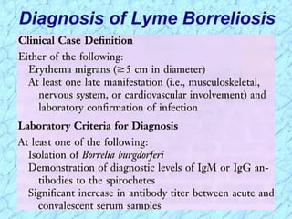 Diagnosis of Lyme Borreliosis
 