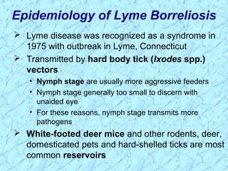  Lyme disease was recognized as a syndrome in
1975 with outbreak in Lyme, Connecticut
 Transmitted by hard body tick (Ixodes spp.)
vectors
• Nymph stage are usually more aggressive feeders
• Nymph stage generally too small to discern with
unaided eye
• For these reasons, nymph stage transmits more
pathogens
 White-footed deer mice and other rodents, deer,
domesticated pets and hard-shelled ticks are most
common reservoirs
Epidemiology of Lyme Borreliosis
 