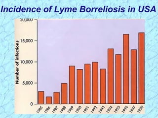 Incidence of Lyme Borreliosis in USA
 