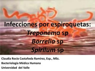 Infecciones por espiroquetas:
Treponema sp
Borrelia sp
Spirilum sp
Claudia Rocío Castañeda Ramírez, Esp., MSc.
Bacteriología Médica Humana
Universidad del Valle

 