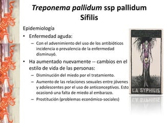 Treponema pallidum ssp pallidum
Sífilis
Epidemiología
• Enfermedad aguda:
– Con el advenimiento del uso de los antibióticos
incidencia o prevalencia de la enfermedad
disminuyó.

• Ha aumentado nuevamente -- cambios en el
estilo de vida de las personas:
– Disminución del miedo por el tratamiento.
– Aumento de las relaciones sexuales entre jóvenes
y adolescentes por el uso de anticonceptivos. Esto
ocasionó una falta de miedo al embarazo.
– Prostitución (problemas económico-sociales)

 
