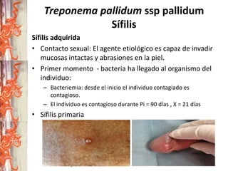 Treponema pallidum ssp pallidum
Sífilis
Sífilis adquirida
• Contacto sexual: El agente etiológico es capaz de invadir
mucosas intactas y abrasiones en la piel.
• Primer momento - bacteria ha llegado al organismo del
individuo:
– Bacteriemia: desde el inicio el individuo contagiado es
contagioso.
– El individuo es contagioso durante Pi = 90 días , X = 21 días

• Sífilis primaria
– Lesión primaria: pápula que luego se indura, las arterias se
obliteran, causando una necrosis en la pápula y posteriormente
una úlcera.
– Ulcera : bordes elevados, indurados, de aspecto cartilaginoso,
indolora, de fondo limpio, cicatriza o cura espontáneamente
entre 4 y 6 semanas.

 