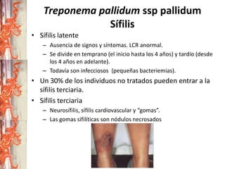 Treponema pallidum ssp pallidum
Sífilis
• Sífilis latente
– Ausencia de signos y síntomas. LCR anormal.
– Se divide en temprano (el inicio hasta los 4 años) y tardío (desde
los 4 años en adelante).
– Todavía son infecciosos (pequeñas bacteriemias).

• Un 30% de los individuos no tratados pueden entrar a la
sífilis terciaria.
• Sífilis terciaria
– Neurosífilis, sífilis cardiovascular y “gomas”.
– Las gomas sifilíticas son nódulos necrosados

 