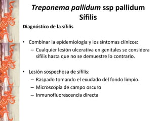 Treponema pallidum ssp pallidum
Sífilis
Diagnóstico de la sífilis
• Combinar la epidemiología y los síntomas clínicos:
– Cualquier lesión ulcerativa en genitales se considera
sífilis hasta que no se demuestre lo contrario.
• Lesión sospechosa de sífilis:
– Raspado tomando el exudado del fondo limpio.
– Microscopía de campo oscuro
– Inmunofluorescencia directa

 