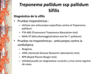 Treponema pallidum ssp pallidum
Sífilis
Diagnóstico de la sífilis
• Pruebas treponémicas :
– Utilizan con anticuerpos específicos contra el Treponema
pallidum.
– FTA-ABS (Fluorescent Treponema Absorption test)
– MHA-TP (Microhemogglutination test for T. pallidum)

• Pruebas no treponémicas : anticuerpos contra la
cardiolipina.
–
–
–
–

Reaginas.
VDRL (Venereal Disease Research Laboratories test)
RPR (Rapid Plasma Reagin test)
Utilidad puede ser diagnosticar curación y sirve como registro
de casos.

 