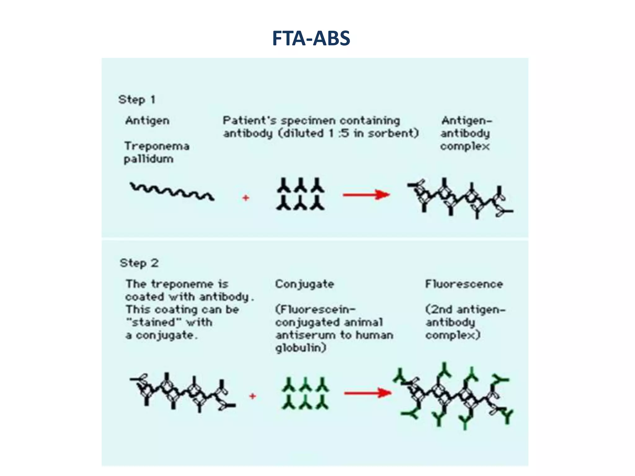 FTA-ABS
 