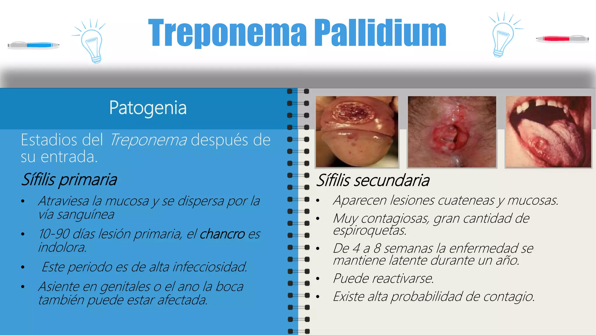 Treponema Rash Treponema pallidum | PPTX