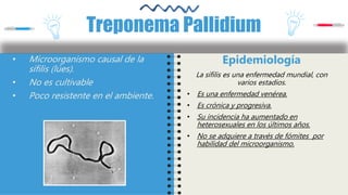 • Microorganismo causal de la
sífilis (lúes).
• No es cultivable
• Poco resistente en el ambiente.
Treponema Pallidium
Epidemiología
La sífilis es una enfermedad mundial, con
varios estadios.
• Es una enfermedad venérea.
• Es crónica y progresiva.
• Su incidencia ha aumentado en
heterosexuales en los últimos años.
• No se adquiere a través de fómites por
habilidad del microorganismo.
 