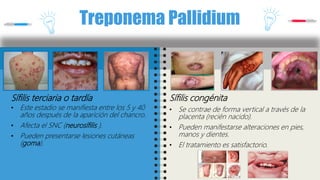 Treponema Pallidium
Sífilis terciaria o tardía
• Este estadio se manifiesta entre los 5 y 40
años después de la aparición del chancro.
• Afecta el SNC (neurosífilis ).
• Pueden presentarse lesiones cutáneas
(goma).
Sífilis congénita
• Se contrae de forma vertical a través de la
placenta (recién nacido).
• Pueden manifestarse alteraciones en pies,
manos y dientes.
• El tratamiento es satisfactorio.
 