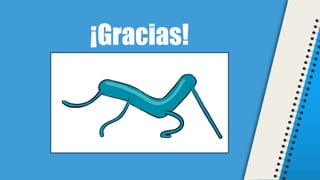 ¡Gracias!
 