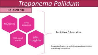 Penicilina G benzatina
Sífilis
gestacional
Neurosífilis
Sífilis inicial
y tardía
Sífilis
congénita
En caso de alergias a la penicilina se puede administrar
doxiciclina y azitromicina
TRATAMIENTO
Treponema Pallidum
 