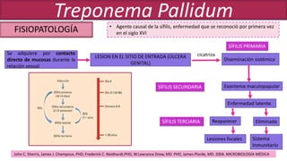 FISIOPATOLOGÍA
Treponema Pallidum
• Agente causal de la sífilis, enfermedad que se reconoció por primera vez
en el siglo XVI
Se adquiere por contacto
directo de mucosas durante la
relación sexual
LESION EN EL SITIO DE ENTRADA (ÚLCERA
GENITAL)
Diseminación sistémica
cicatriza
Exantema maculopapularSÍFILIS SECUNDARIA
Enfermedad latente.
EliminadaReaparecerSÍFILIS TERCIARIA
Lesiones focales Sistema
Inmunitario
SÍFILIS PRIMARIA
John C. Sherris, James J. Champoux, PHD, Frederick C. Neidhardt,PHD, W.Lawrance Drew, MD. PHD, James.Plorde, MD. 2004. MICROBIOLOGÍA MÉDICA
 