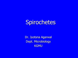 Spirochetes
Dr. Jyotsna Agarwal
Dept. Microbiology
KGMU
 