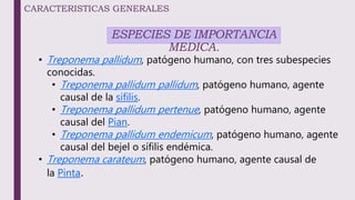CARACTERISTICAS GENERALES
ESPECIES DE IMPORTANCIA
MEDICA.
• Treponema pallidum, patógeno humano, con tres subespecies
conocidas.
• Treponema pallidum pallidum, patógeno humano, agente
causal de la sífilis.
• Treponema pallidum pertenue, patógeno humano, agente
causal del Pian.
• Treponema pallidum endemicum, patógeno humano, agente
causal del bejel o sífilis endémica.
• Treponema carateum, patógeno humano, agente causal de
la Pinta.
 