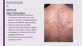 PATOGENI
A
SIFILIS
SECUNDARIA
• Aparecen lesiones cutáneas y
mucosas; las lesiones son mas
graves y de alta contagiosidad por
la gran cantidad de espiroquetas.
• Algunas personas también
experimentan pérdida de cabello,
dolores musculares, fiebre, dolor
de garganta e inflamación de los
ganglios linfáticos.
• 4-8 semanas, pero es latente
durante un año.
 
