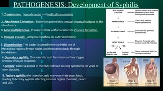 Syphilis Host Treponema pallidum disease symptoms (3).pptx