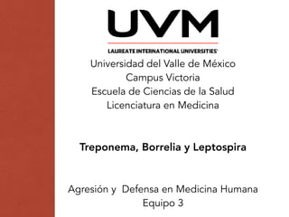 Universidad del Valle de México
Campus Victoria
Escuela de Ciencias de la Salud
Licenciatura en Medicina
Treponema, Borrelia y Leptospira
Agresión y Defensa en Medicina Humana
Equipo 3
 