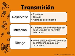 Transmisión 
 