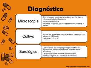 Diagnóstico 
 