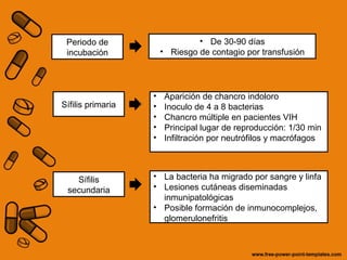 Periodo de 
incubación 
• De 30-90 días 
• Riesgo de contagio por transfusión 
Sífilis primaria 
• Aparición de chancro indoloro 
• Inoculo de 4 a 8 bacterias 
• Chancro múltiple en pacientes VIH 
• Principal lugar de reproducción: 1/30 min 
• Infiltración por neutrófilos y macrófagos 
Sífilis 
secundaria 
• La bacteria ha migrado por sangre y linfa 
• Lesiones cutáneas diseminadas 
inmunipatológicas 
• Posible formación de inmunocomplejos, 
glomerulonefritis 
 