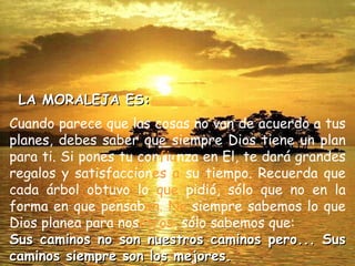Cuando parece que las cosas no van de acuerdo a tus planes, debes saber que siempre Dios tiene un plan para ti. Si pones tu con fia nza en El, te dará grandes regalos y satisfaccion es a  su tiempo. Recuerda que cada árbol obtuvo lo  que  pidió, sólo que no en la forma en que pensab an. No  siempre sabemos lo que Dios planea para nos otros , sólo sabemos que:  Sus caminos no son nuestros caminos pero... Sus caminos siempre son los mejores. LA MORALEJA ES: 