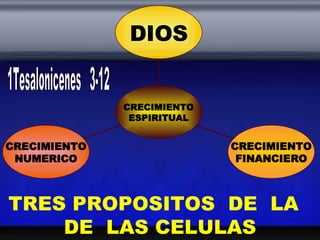 TRES PROPOSITOS  DE  LA  DE  LAS CELULAS 1Tesalonicenes  3-12 CRECIMIENTO NUMERICO CRECIMIENTO FINANCIERO DIOS CRECIMIENTO ESPIRITUAL 