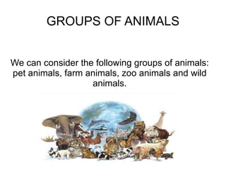 GROUPS OF ANIMALS We can consider the following groups of animals: pet animals, farm animals, zoo animals and wild animals. 