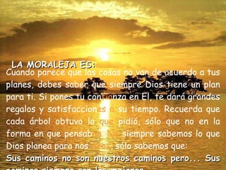 Cuando parece que las cosas no van de acuerdo a tus planes, debes saber que siempre Dios tiene un plan para ti. Si pones tu con fia nza en El, te dará grandes regalos y satisfaccion es a  su tiempo. Recuerda que cada árbol obtuvo lo  que  pidió, sólo que no en la forma en que pensab an. No  siempre sabemos lo que Dios planea para nos otros , sólo sabemos que:  Sus caminos no son nuestros caminos pero... Sus caminos siempre son los mejores. LA MORALEJA ES: 