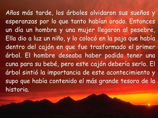 Años más tarde, los árboles olvidaron sus sueños y esperanzas por lo que tanto habían orado. Entonces un día un hombre y una mujer llegaron al pesebre, Ella dio a luz un niño, y lo colocó en la paja que había dentro del cajón en que fue trasformado el primer árbol. El hombre deseaba haber podido tener una cuna para su bebé, pero este cajón debería serlo. El árbol sintió la importancia de este acontecimiento y supo que había contenido el más grande tesoro de la historia. 