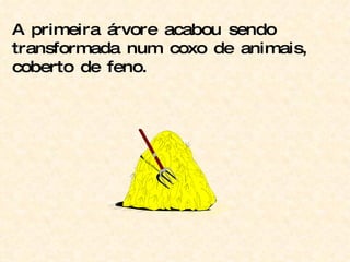 A primeira árvore acabou sendo transformada num coxo de animais, coberto de feno. 