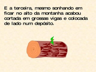 E a terceira, mesmo sonhando em ficar no alto da montanha acabou cortada em grossas vigas e colocada de lado num depósito. 