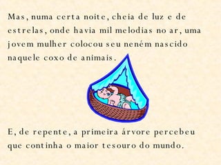 Mas, numa certa noite, cheia de luz e de estrelas, onde havia mil melodias no ar, uma jovem mulher colocou seu neném nascido naquele coxo de animais. E, de repente, a primeira árvore percebeu que continha o maior tesouro do mundo. 