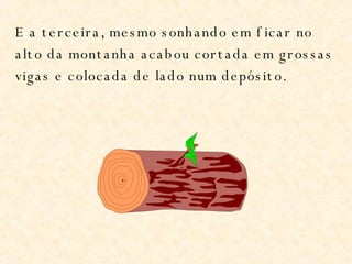 E a terceira, mesmo sonhando em ficar no alto da montanha acabou cortada em grossas vigas e colocada de lado num depósito. 