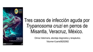 Tres casos de infección aguda por
Trypanosoma cruzi en perros de
Misantla, Veracruz, México.
Clinica Veterinaria, abordaje diagnostico y terapéutico.
Volumen 6,serie56202062
 