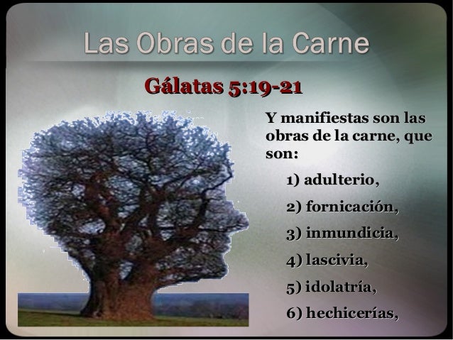 Tres clases de obras. 1º obras de la carne