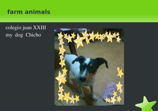 farm animals

colegio juan XXIII                 
my  dog  Chicho




                                       
 