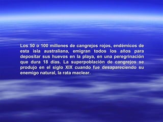 Los 50 o 100 millones de cangrejos rojos, endémicos deLos 50 o 100 millones de cangrejos rojos, endémicos de
esta isla australiana, emigran todos los años paraesta isla australiana, emigran todos los años para
depositar sus huevos en la playa, en una peregrinacióndepositar sus huevos en la playa, en una peregrinación
que dura 18 días. La superpoblación de cangrejos seque dura 18 días. La superpoblación de cangrejos se
produjo en el siglo XIX cuando fue desapareciendo suprodujo en el siglo XIX cuando fue desapareciendo su
enemigo natural, la rata maclear.enemigo natural, la rata maclear.
 