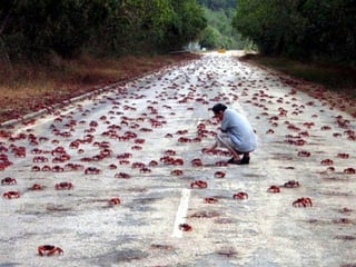 Tres islas especiales