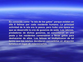 Es conocida como “la isla de los gatos” porque existen enEs conocida como “la isla de los gatos” porque existen en
ella 6 felinos por cada residente humano. La principalella 6 felinos por cada residente humano. La principal
actividad de la isla era la pesca, pero hubo una época enactividad de la isla era la pesca, pero hubo una época en
que se desarrolló la cría de gusanos de seda. Los ratones,que se desarrolló la cría de gusanos de seda. Los ratones,
predadores de dichos gusanos, se convirtieron en unapredadores de dichos gusanos, se convirtieron en una
peste y los residentes comenzaron a llevar gatos parapeste y los residentes comenzaron a llevar gatos para
deshacerse de ellos. Los felinos se multiplicaron de taldeshacerse de ellos. Los felinos se multiplicaron de tal
forma que los isleños decidieron convertirlos en atracciónforma que los isleños decidieron convertirlos en atracción
turística en lugar de exterminarlos.turística en lugar de exterminarlos.
 