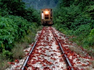 Tres islas especiales