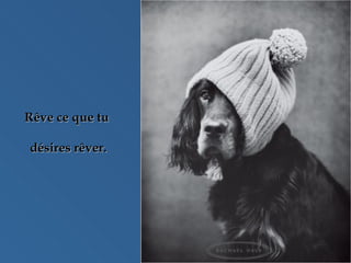 Rêve ce que tu  désires rêver. 