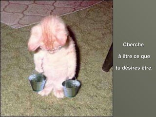 Cherche  à être ce que tu désires être. 